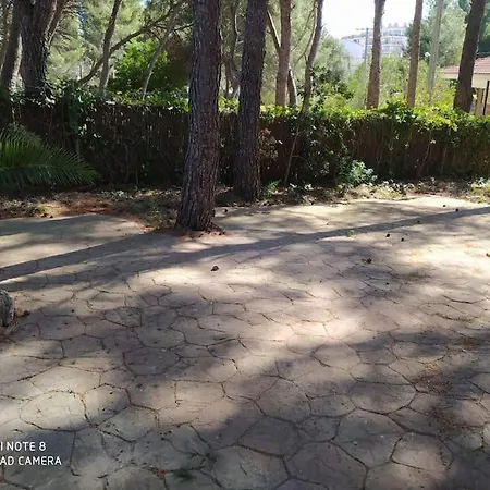 Villa Masia Del Roc De Sant Caieta Roda de Bera